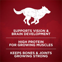 Purina ONE True Instinct with Real Chicken and Duck High Protein Puppy Food Formula Natural with Added Vitamins, Minerals and Nutrients - 7.4 lb. Bag