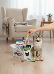 Big Dog Feline Cat Box - Ultimate New Surprising Treat & Toys for Cats Every Time You Order