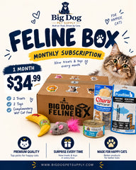 Big Dog Feline Cat Box