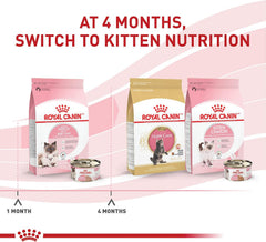 Royal Canin Mother & Babycat Ultra Soft Mousse Wet Cat Food, 3 oz, 24-Pack