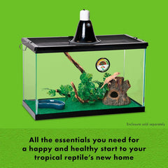 Dragon Habitat Accessory Kit, Easy Starter Kit for Bearded Dragons, Includes Lighting, UVB, Heat, Bedding, Humidity, Temperature and Food, Ideal for Habitats 20L - 60 BR Terrariums