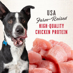 Wholesomes Rewards Medium Original Biscuit Dog Treats