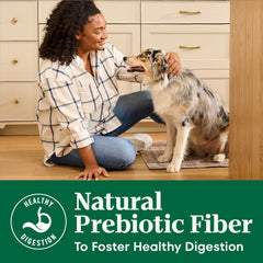 Nutro Natural Choice Small Bites Dry Dog Food, Adult Dog Food Dry Lamb and Brown Rice Recipe, 12 lbs