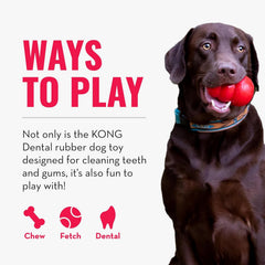 KONG Dental Dog Toy - for Dog Dental Care - Stuffable Chew Toy - Provides Chewing Outlet & Satisfies Instinctual Needs - Cleans Teeth & Gums - Made with Durable Natural Rubber - for X-Large Dogs