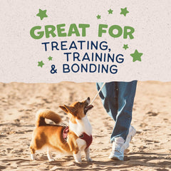 Natural Balance Limited Ingredient Rewards Crunchy Biscuits, Bite-Size Vegetarian Dog Treats for Small-Breed Adult Dogs, Peanut Butter Recipe, 8 Ounce (Pack of 1)