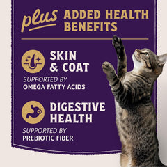 Natural Balance Ultra Protein Plus Wet Cat Food, Skin & Coat and Digestive Health Real Salmon With Pumpkin Puree Topper With Chicken Liver & Chicken Heart, High Protein Cat Food - 2.4 oz. (Pack of 6)