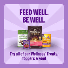 Wellness Old Mother Hubbard Milk Bar P'Nutty B-Day Party Dog Biscuits, Natural Treats, Peanut Butter Flavor with Birthday Icing, 10 oz Bag