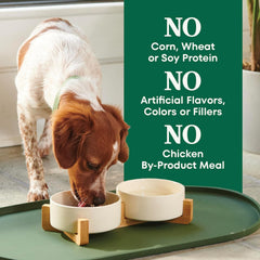 Nutro Natural Choice Small Bites Dry Dog Food, Adult Dog Food Dry Lamb and Brown Rice Recipe, 12 lbs