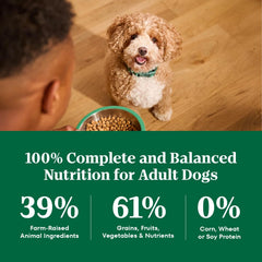 Nutro Natural Choice Small Bites Dry Dog Food, Adult Dog Food Dry Lamb and Brown Rice Recipe, 12 lbs