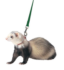 Marshall Pet Products Harness & Lead