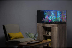 GloFish Plant Aquarium Décor, Green and Pink Large, Fluorescent Under Blue LED Light