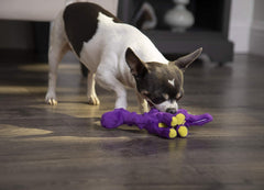 goDog Just For Me Bruto with Chew Guard Technology Plush Dog Toy, Purple