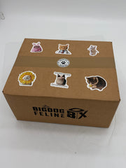 Big Dog Feline Cat Box