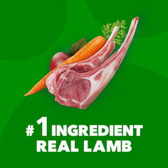IAMS Minichunks Adult Dry Dog Food Lamb & Rice Recipe Dog Kibble