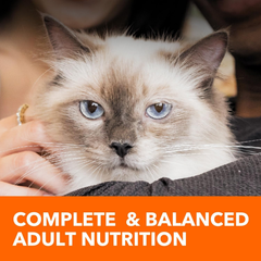 IAMS Proactive Health Adult Sensitive Digestion & Skin Dry Cat Food with Turkey