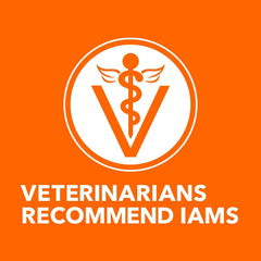 IAMS PROACTIVE HEALTH Healthy Senior Dry Cat Food with Chicken Cat Kibble