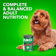IAMS Proactive Health Adult Wet Dog Food Classic Ground with Lamb and Rice, 13 oz. Cans, Pack of 6