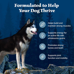 Blue Buffalo Wilderness Adult High-Protein Dry Dog Food Wholesome Grains Natural Ingredients