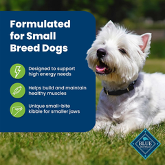 Blue Buffalo Life Protection Formula Adult Small Breed Dry Dog Food, Supports High Energy Needs, Made with Natural Ingredients, Lamb & Brown Rice Recipe
