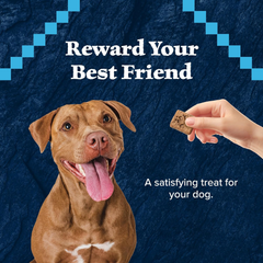 Blue Buffalo Wilderness Trail Treats High Protein Grain Free Dog Biscuits Crunchy Dog Treats, Duck Recipe