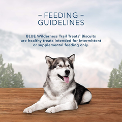 Blue Buffalo Wilderness Trail Treat Biscuits, Salmon