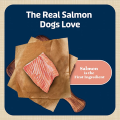 Blue Buffalo Bits Soft Dog Treats for Training, Made with Natural Ingredients & Enhanced with DHA, Salmon Recipe