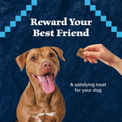 Blue Buffalo Wilderness Trail Treats High Protein Grain Free Dog Biscuits Crunchy Dog Treats, Turkey Recipe