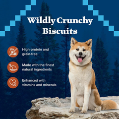 Blue Buffalo Wilderness Trail Treats High Protein Grain Free Dog Biscuits Crunchy Dog Treats, Turkey Recipe