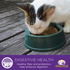 Wellness Complete Health Grain Free Turkey & Salmon Natural Wet Canned Cat Food