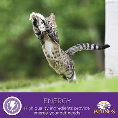 Wellness Complete Health Natural Canned Grain Free Wet Cat Food, Chicken & Herring Pate