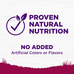 Wellness Complete Health Small Breed Adult Dry Dog Food with Grains and Real Turkey, Natural Ingredients, Omega Fatty Acids, and Probiotics, Made in USA