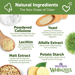 Wellness WHIMZEES Brushzees Dog Dental Treats, Natural Chews, Extra Small Size Stick