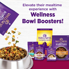Wellness Complete Health Small Breed Dry Dog Food with Grains, Natural Ingredients, Made in USA with Real Turkey, For Dogs Up to 25 lbs (Adult, Healthy Weight Turkey & Rice)
