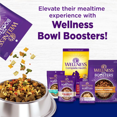 Wellness Complete Health Large Breed Dry Dog Puppy Food with Grains, Natural Ingredients, Made in USA with Real Meat (Puppy, Chicken, Salmon & Rice)
