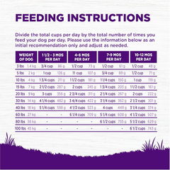 Wellness Complete Health Puppy Dry Dog Food, Wholesome Grains, Natural, Chicken, Oatmeal, & Salmon Recipe