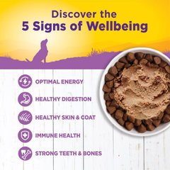 Wellness Complete Health Natural Wet Canned Dog Food, Age Advantage Chicken & Sweet Potato