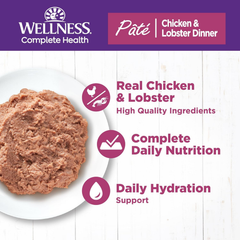 Wellness Complete Health Pate Adult Wet Cat Food, Natural, Protein-Rich, Grain Free (Chicken & Lobster)