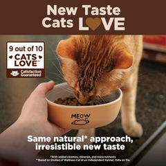Wellness CORE High Protein Grain-Free Adult Dry Cat Food, Original Formula Turkey, Turkey Meal & Chicken Recipe