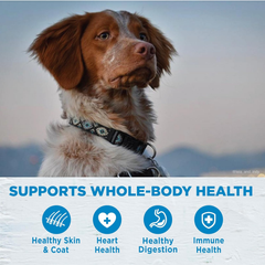 Wellness Simple Natural Limited-Ingredient Grain-Free Dry Dog Food, Easy to Digest for Sensitive Stomachs, Supports Skin & Coat (Turkey and Potato)