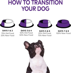 Wellness Complete Health Dry Dog Food for Small Dogs, Toy Breed, Wholesome Grains, Natural, Chicken, Brown Rice, & Peas Recipe