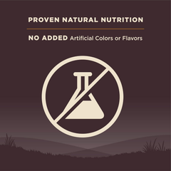 Wellness CORE Grain-Free High-Protein Dry Dog Food, Natural Ingredients, Made in USA with Real Meat, All Breeds, For Adult Dogs (Wild Game Duck, Lamb Meal, Boar & Rabbit)