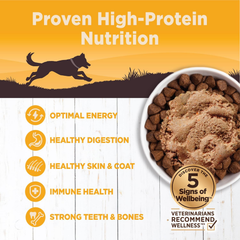 Wellness CORE 95% Natural Wet Grain Free Canned Dog Food, Chicken & Broccoli