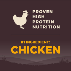 Wellness Natural Pet Food Wellness CORE Grain-Free High-Protein Large Breed Dry Dog Food, Natural Ingredients, Made in USA with Real Chicken (Puppy)