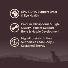 Wellness Natural Pet Food Wellness CORE Grain-Free High-Protein Large Breed Dry Dog Food, Natural Ingredients, Made in USA with Real Chicken (Puppy)