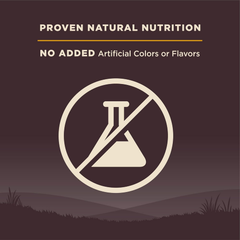 Wellness Natural Pet Food Wellness CORE Grain-Free High-Protein Large Breed Dry Dog Food, Natural Ingredients, Made in USA with Real Chicken (Puppy)