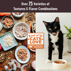 Wellness CORE+ Adult Dry Cat Food for Indoor & Outdoor Cats, Grain Free, Natural, Healthy Weight, Chicken and Chicken Meal