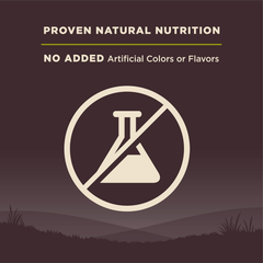 Wellness CORE Grain-Free High-Protein Dry Dog Food, Natural Ingredients, Made in USA with Real Meat, All Breeds, For Adult Dogs