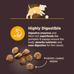 Wellness CORE Digestive Health Sensitive Stomach Chicken with Grains Dry Puppy Food