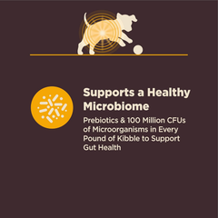 Wellness CORE Digestive Health Sensitive Stomach Chicken with Grains Dry Puppy Food