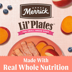 Merrick Limited Ingredient Diet Premium And Natural Kibble With Healthy Grains, Salmon And Brown Rice Dog Food